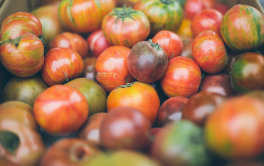 carotenoids found in tomatoes